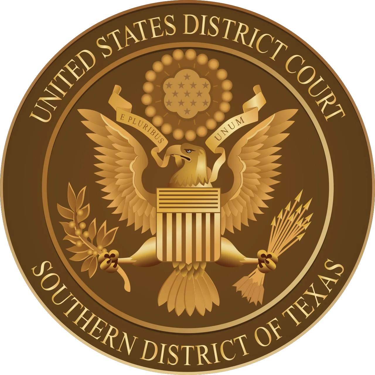 Former Assistant United States Attorney for the Southern District of Texas