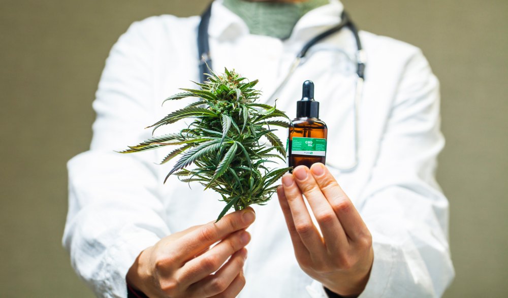 A person wearing a lab coat and stethoscope holds a cannabis plant and a CBD oil bottle labeled 'CBD OIL 500 MG'.
